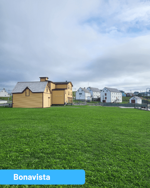 Book The Best Places to Stay in Newfoundland & Labrador