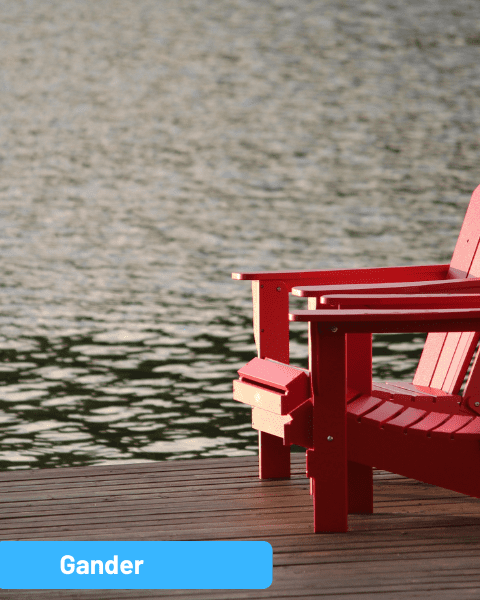 Book The Best Places to Stay in Newfoundland & Labrador