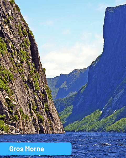 Book The Best Places to Stay in Newfoundland & Labrador